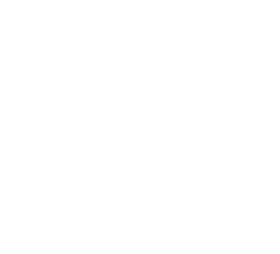 Layer